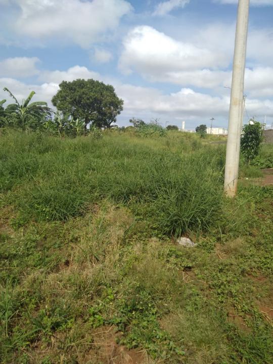 Foto 5 de 19 — Reclamação: “Onde deveria ser uma rua, só tem mato, lixo e água parada”, diz morador